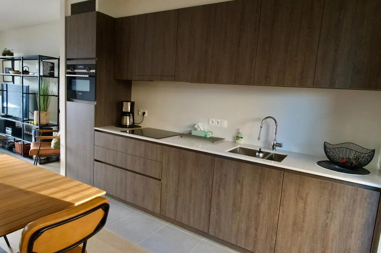 Cosy Renovated Studio For Two In Ostend T114